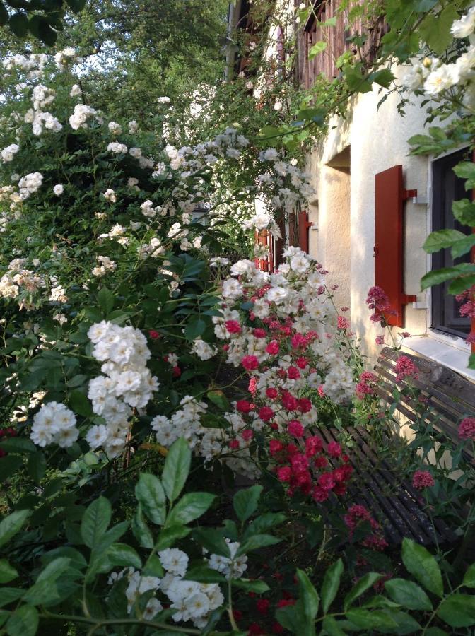 Haus Probst Am See Bed and Breakfast Schondorf am Ammersee Eksteriør billede