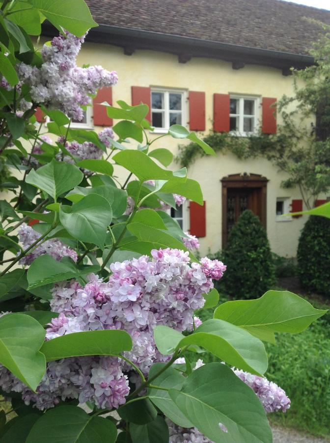 Haus Probst Am See Bed and Breakfast Schondorf am Ammersee Eksteriør billede