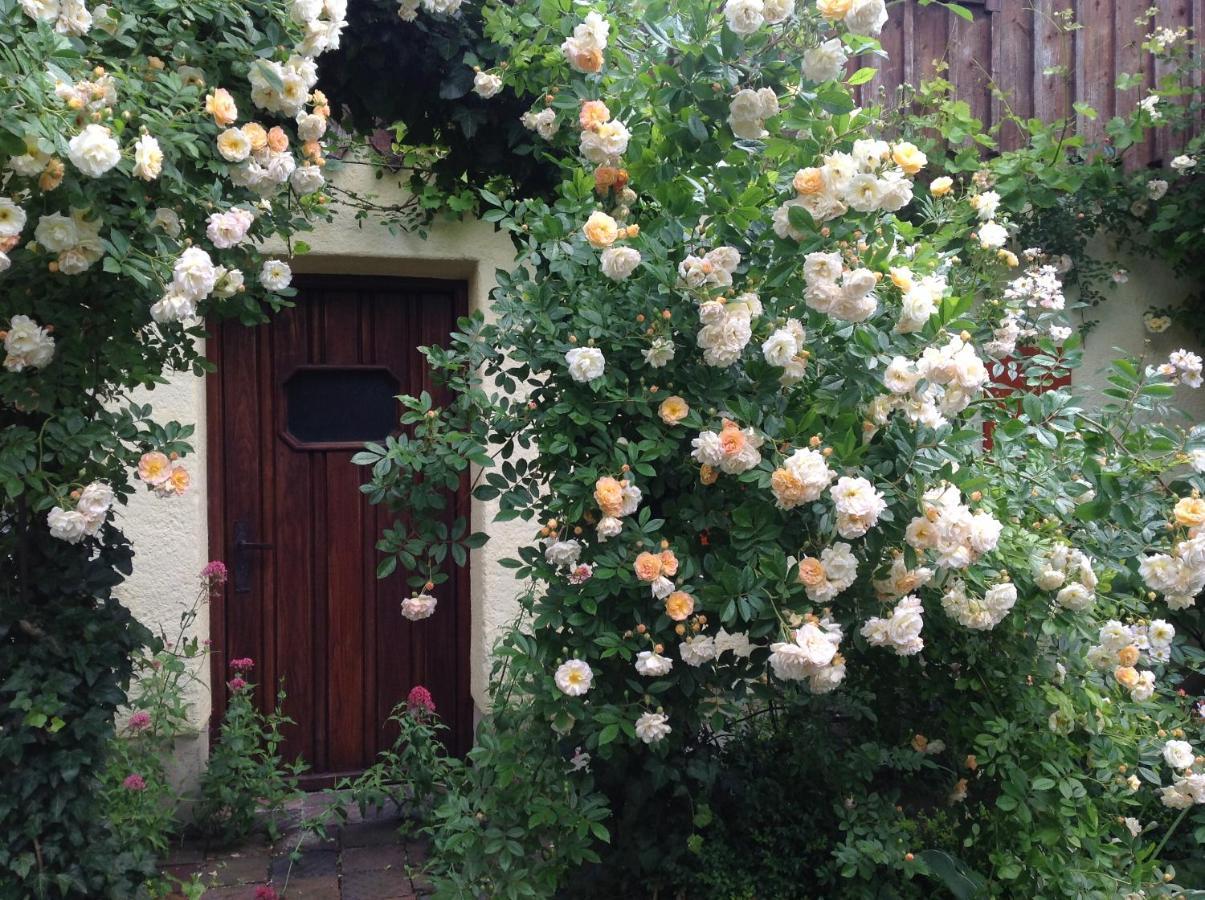 Haus Probst Am See Bed and Breakfast Schondorf am Ammersee Eksteriør billede